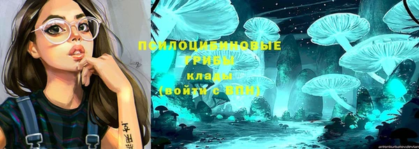 герыч Кодинск