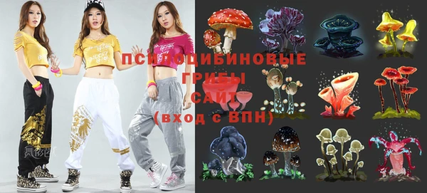 apvp Козловка